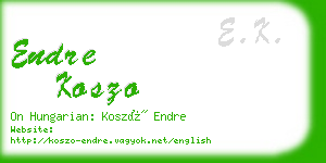 endre koszo business card